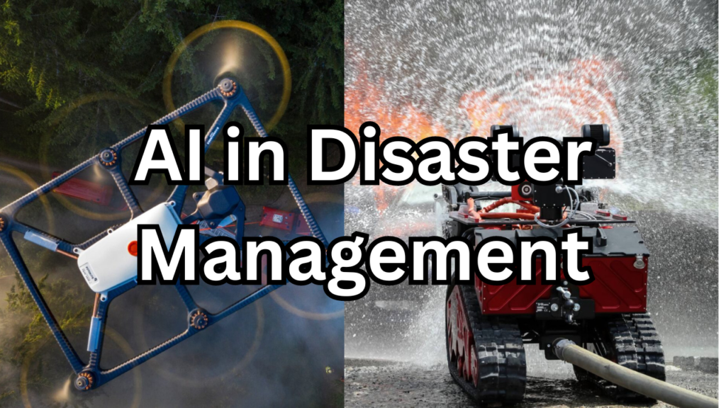 AI in Disaster Management